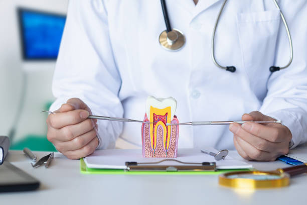 Best Knocked-Out Tooth Emergency  in Electra, TX